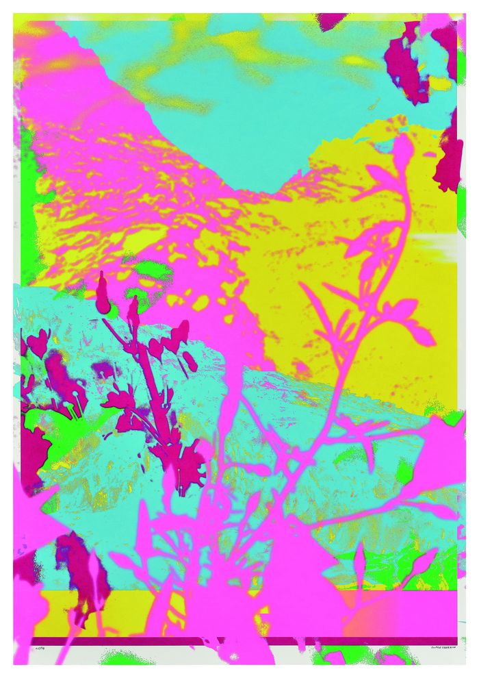 80795103:2026-09-19T08:00:00.000Z.jpg