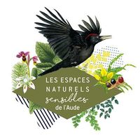 ENS - Un château et une forêt de légendes