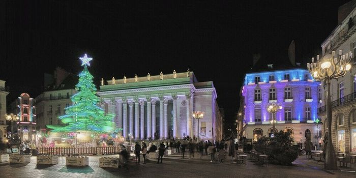 Le manège sapin - Le Voyage en Hiver