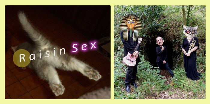 Concert de Raisin Sex au Wattignies ! 🍇