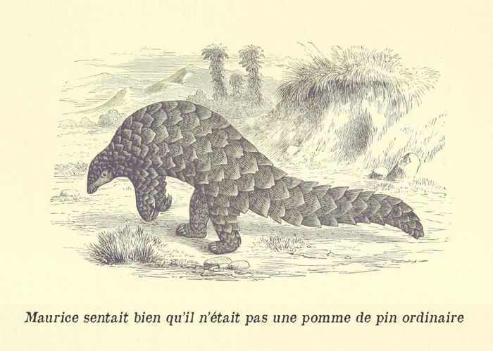 583a5735134e4e55a11c6d9a5e6cd046.base.image.jpg