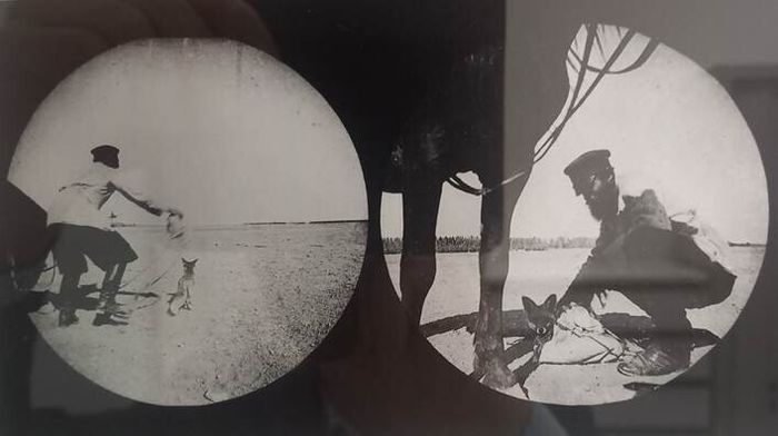 Colloque sur la conservation-restauration des photographies