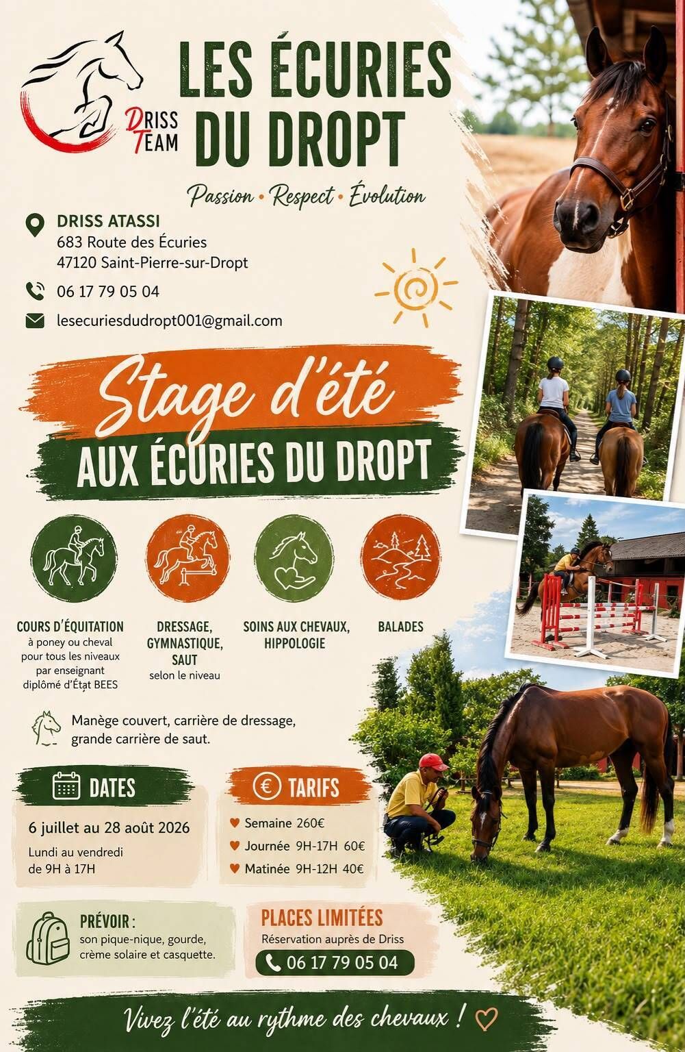 Stage d'été à cheval ou poney, Lot-et-Garonne