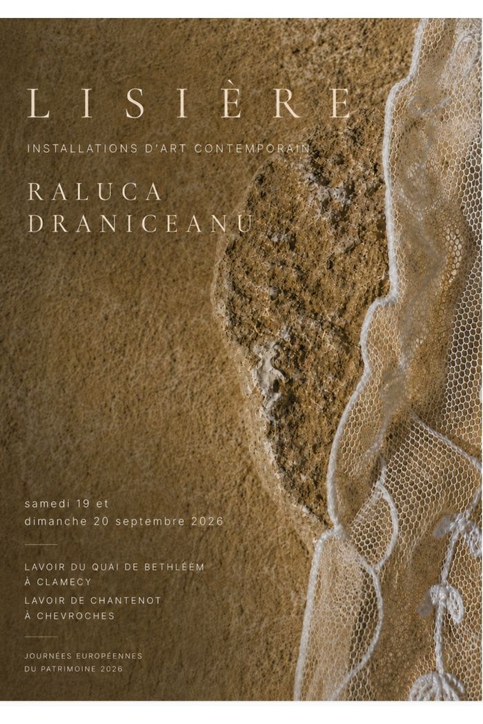 Installations d'art contemporain par Raluka Draniceanu
