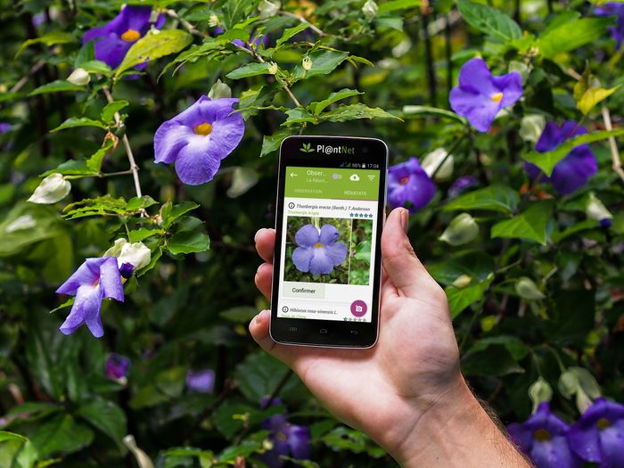 Découverte des applications d'identification de plantes et de documents