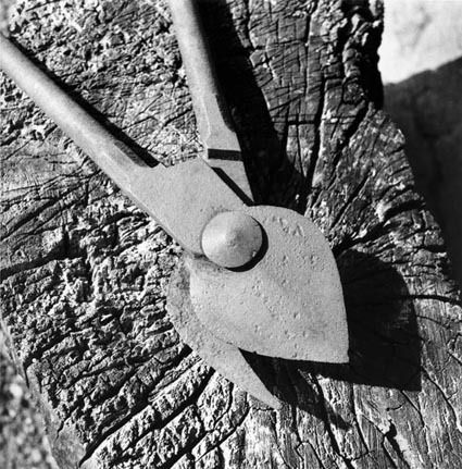 Exposition La Gascogne de Daniel Maigné : une sélection de photographies issue de la collection départementale au Musée du paysan gascon de Toujouse