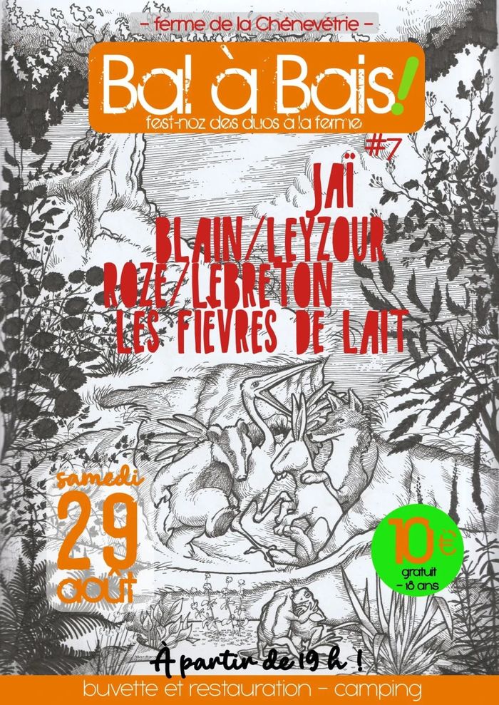 Bal à Bais - Fest-Noz des duos à la ferme