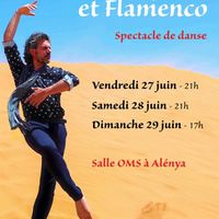 Spectacle de Flamenco "Des airs espagnols et flamenco"