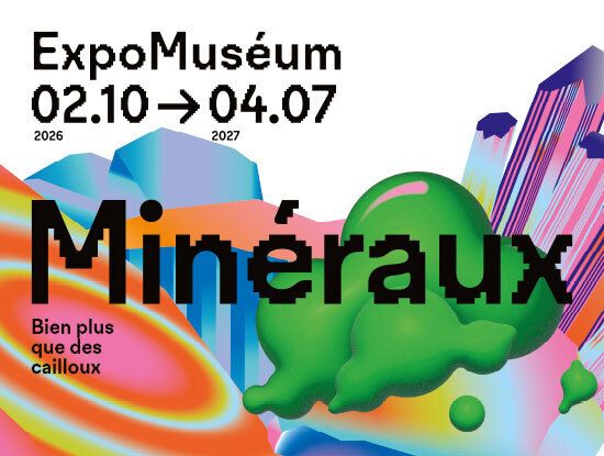 Minéraux, bien plus que des cailloux