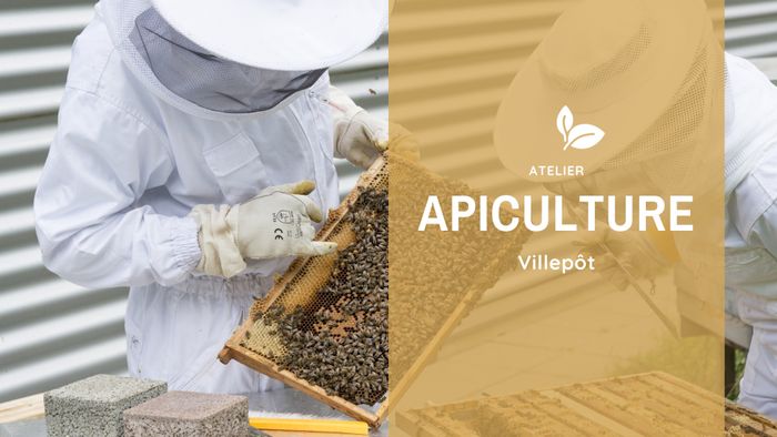 Initiation à l'apiculture bio (44)