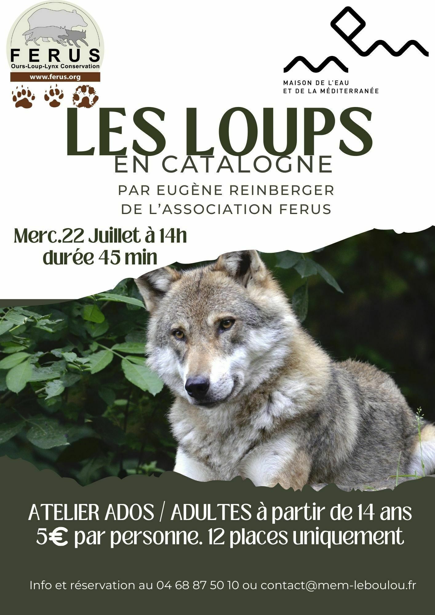 🐺 Spécial Halloween : Les loups en Catalogne 🎃
