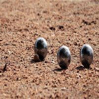Concours de pétanque