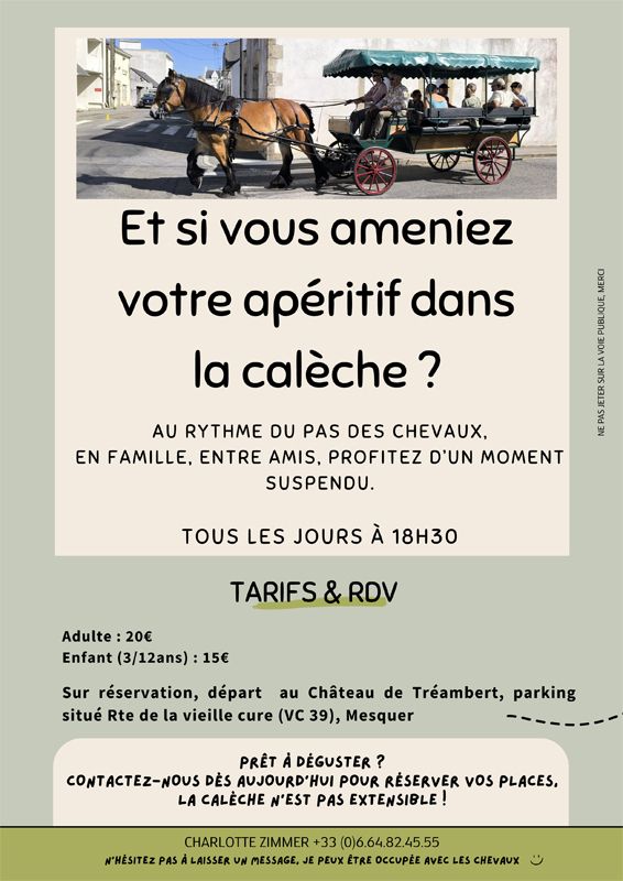 Balades en calèche