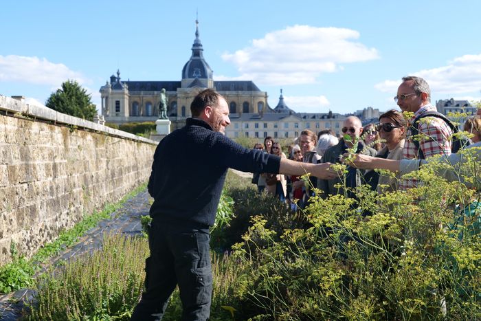 La découverte d’un jardin remarquable aux multiples facettes. Certains dimanches de mai à octobre, vous pouvez venir découvrir le Potager du Roi, son histoire et son évolution à travers les siècles.
