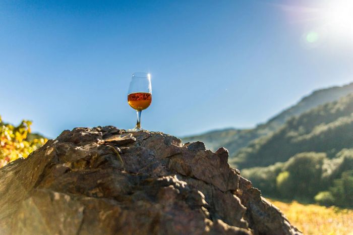 Apéritif Vigneron - visite au dégustation au domaine