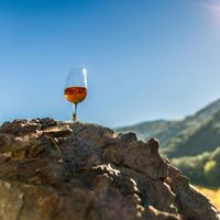 Apéritif Vigneron - visite au dégustation au domaine