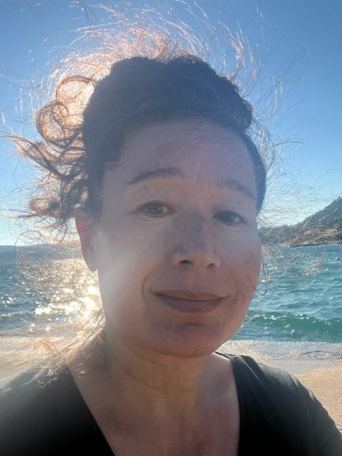 Hito Steyerl