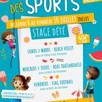 Stage d’été école municipale des sports