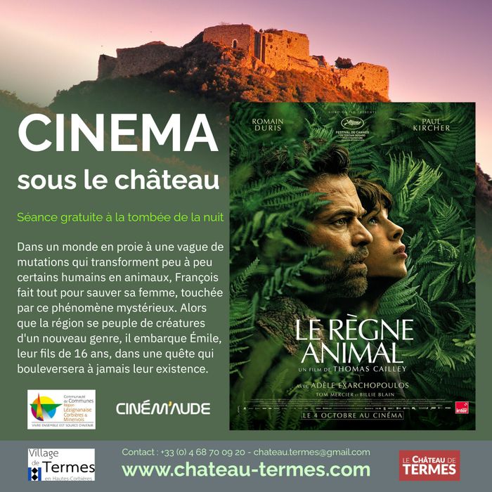 Cinéma sous le château