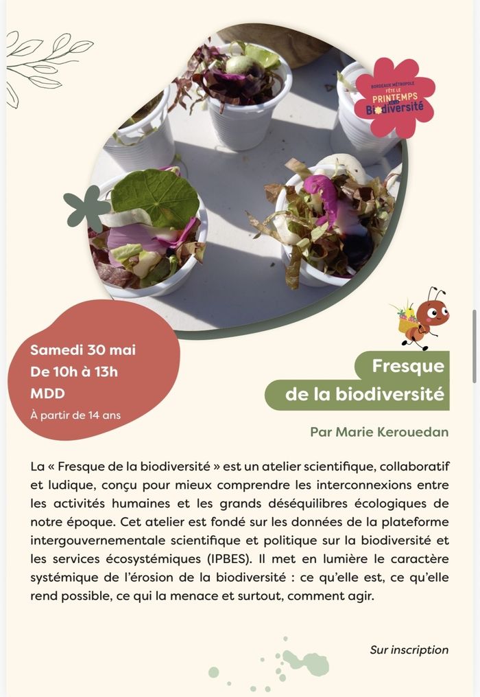 Fresque de la biodiversité