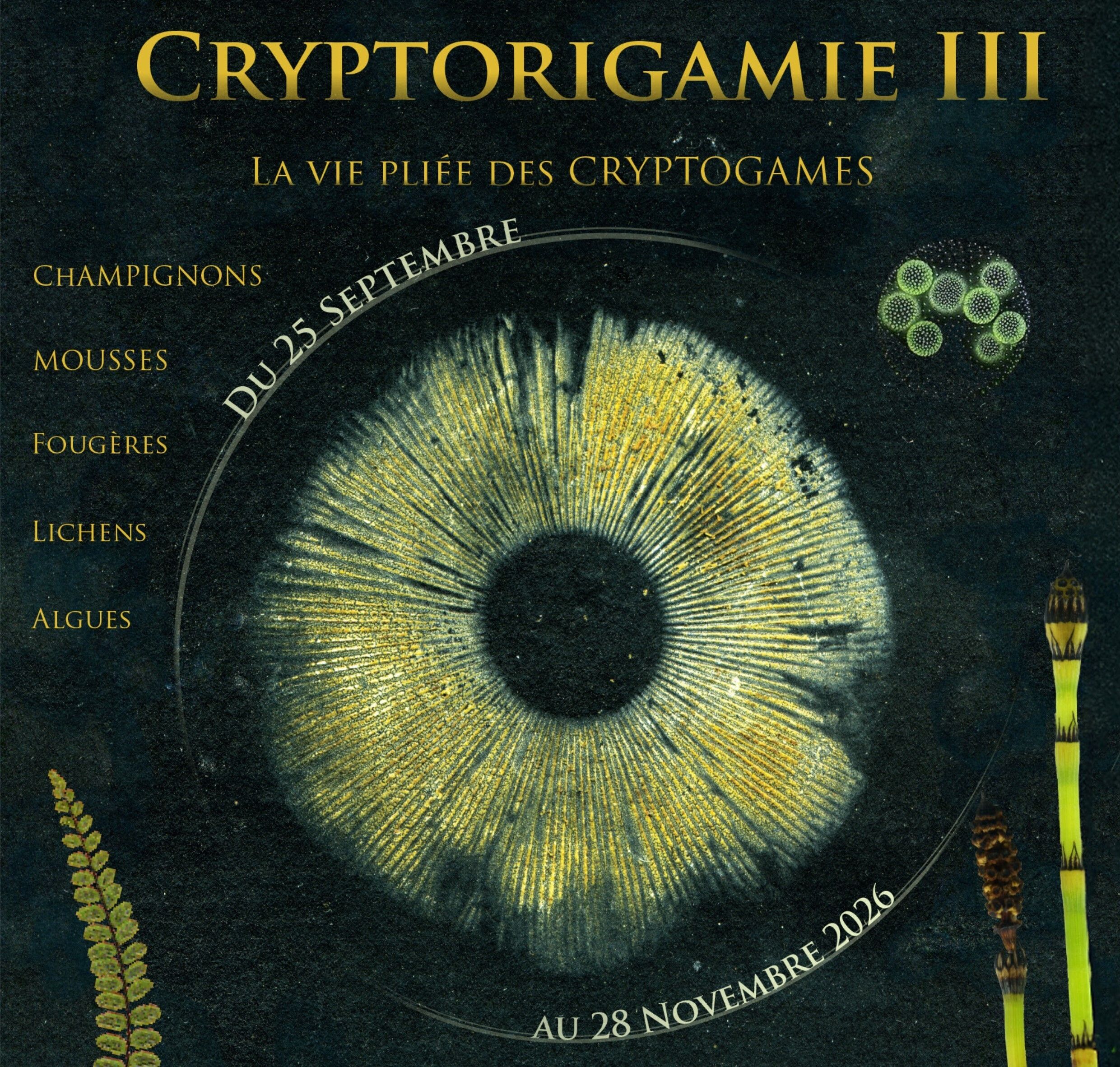 CryptORIgamie 3