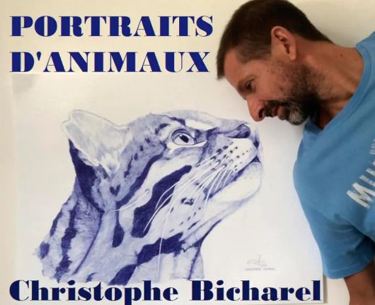 "Portraits d’animaux" - Christophe Bicharel