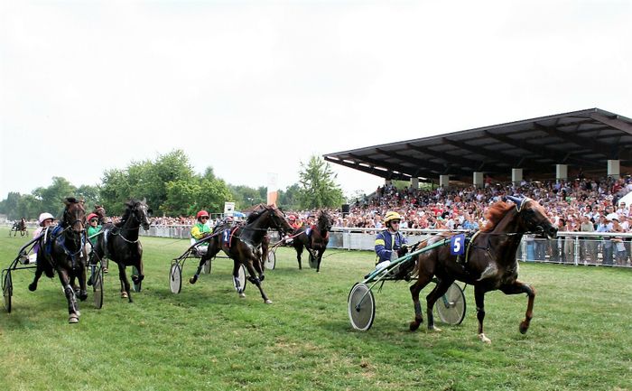 Visite guidée d'un des plus anciens hippodromes de France