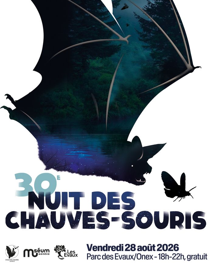 La Nuit des chauves-souris