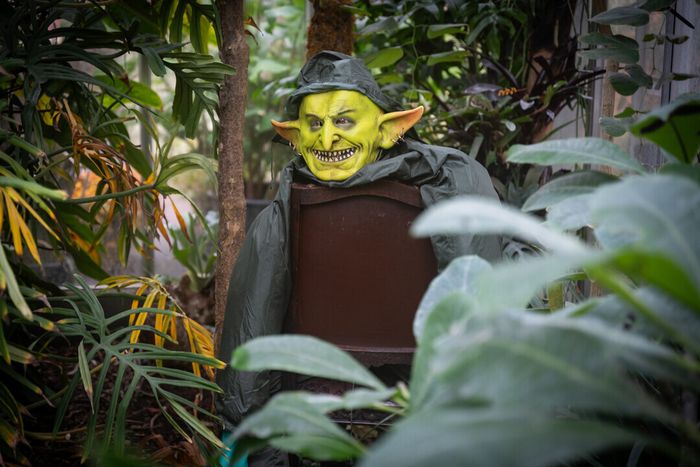 Halloween au Jardin des Plantes