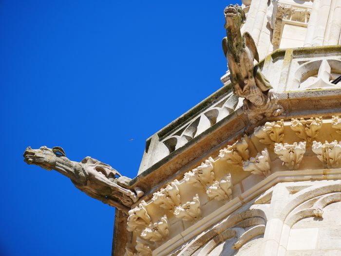Visite guidée : Tour de la Cathédrale