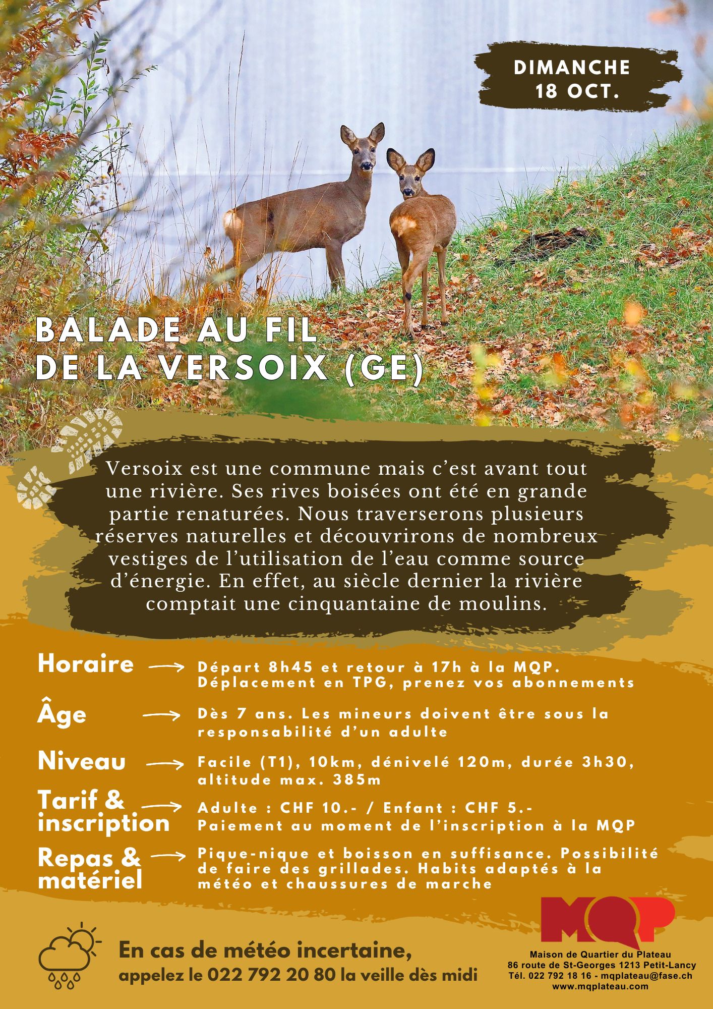 Balade au fil de la Versoix (GE)