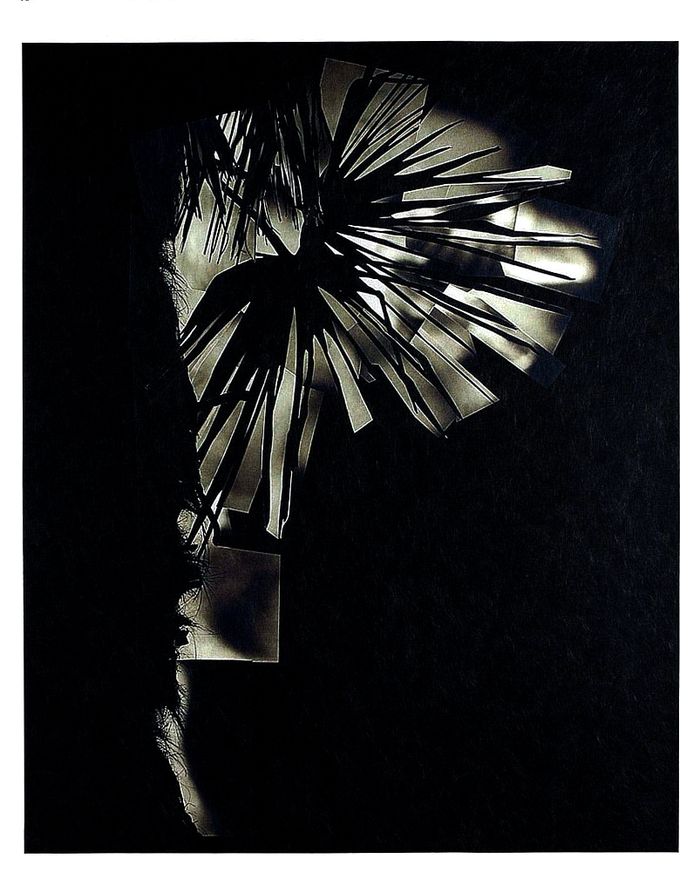 "Herbier" Une exposition d’Alain Béguerie