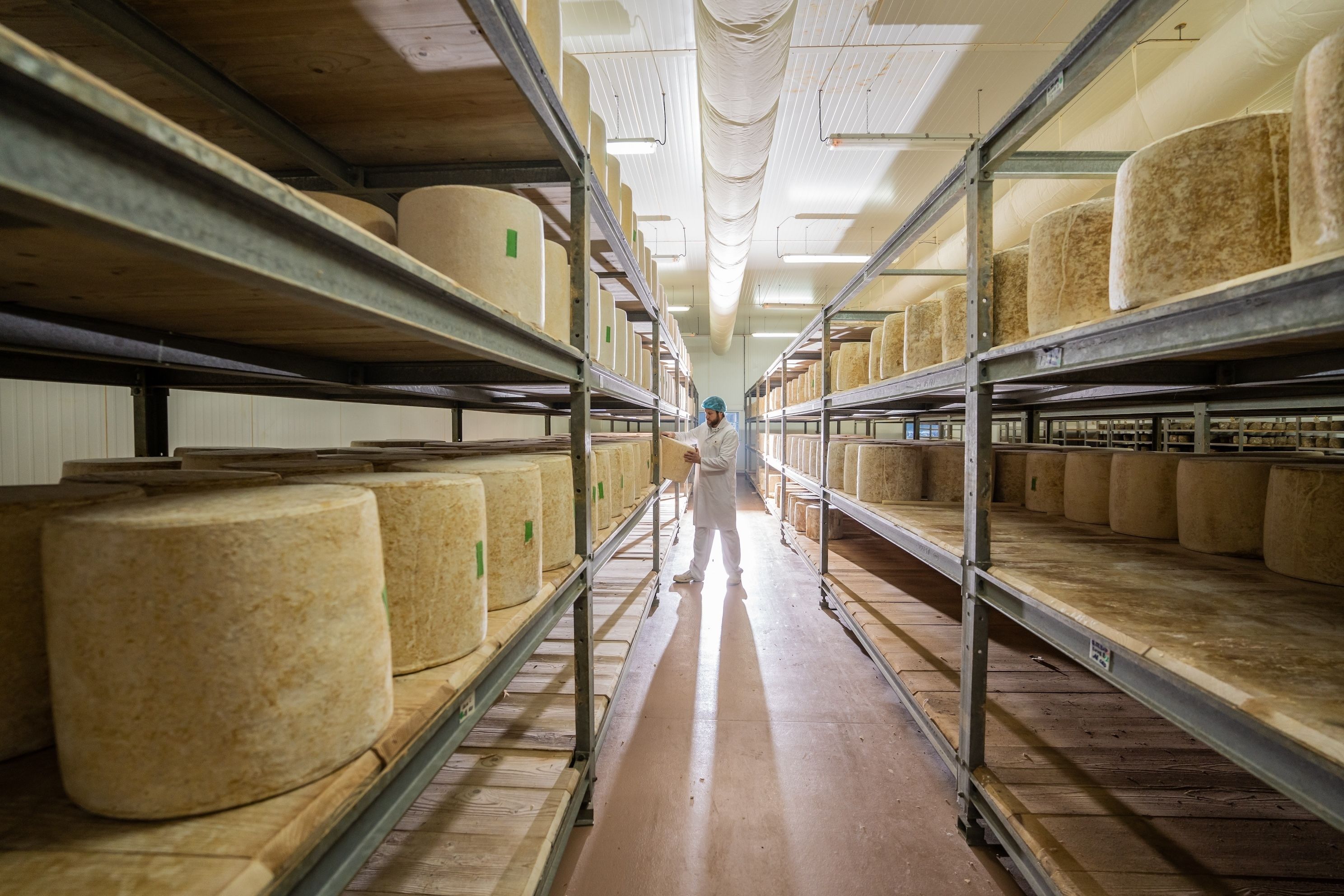 Visite guidée : découvrez la fabrication du cantal AOP au lait cru et du fromage Le Thérondels 🧀