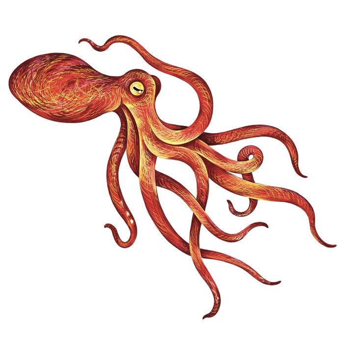 5ce797c632c94f65993406281978fd8e.base.image.jpg