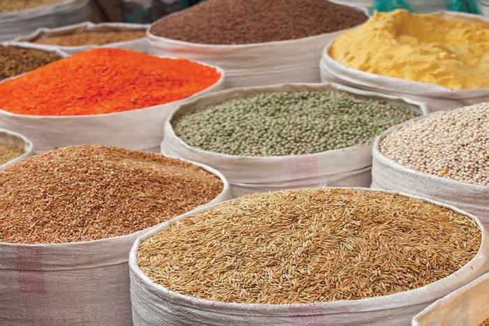 (atelier) Grainothèque : troc de graines et de légumes
