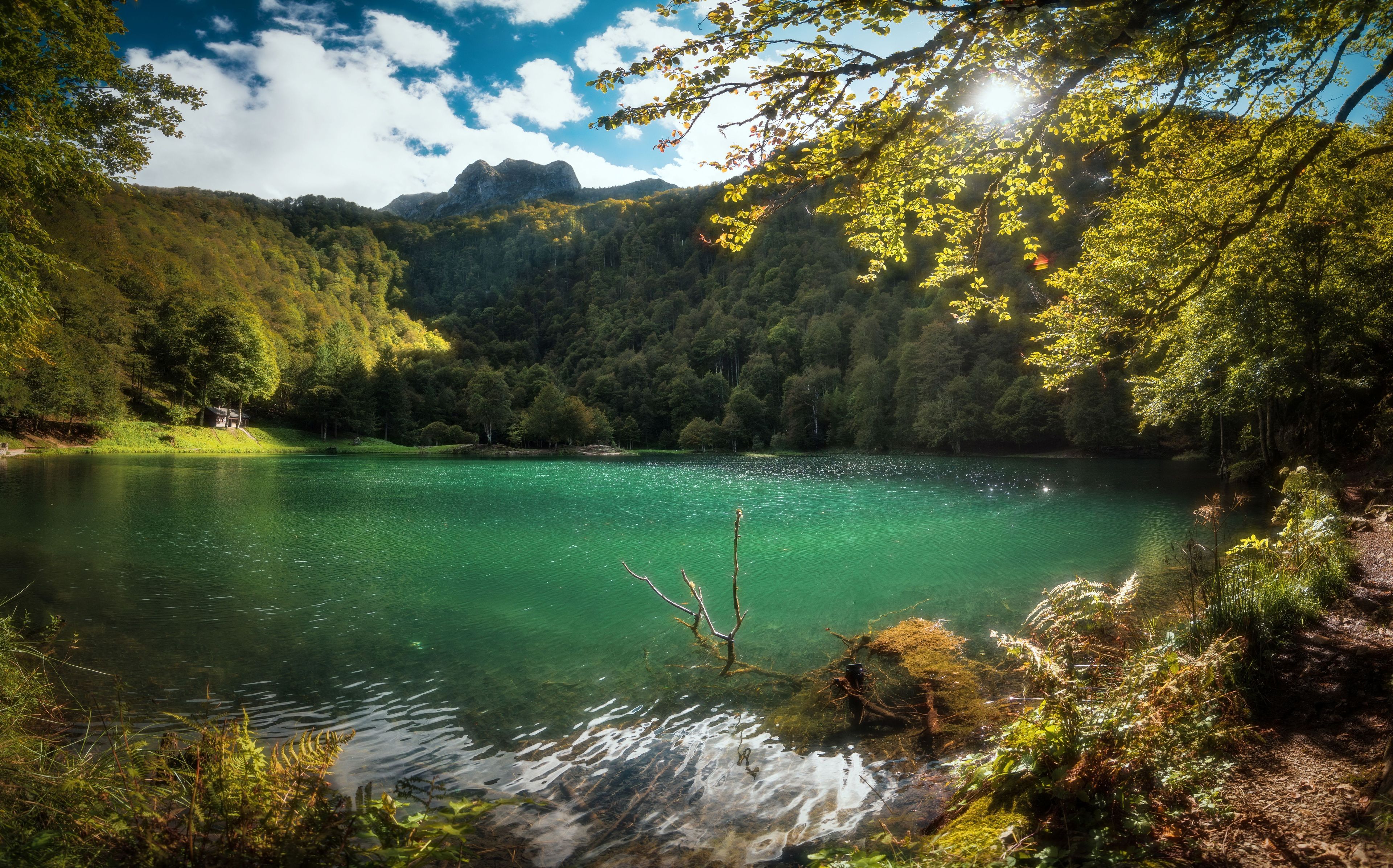 Bain de forêt guidé