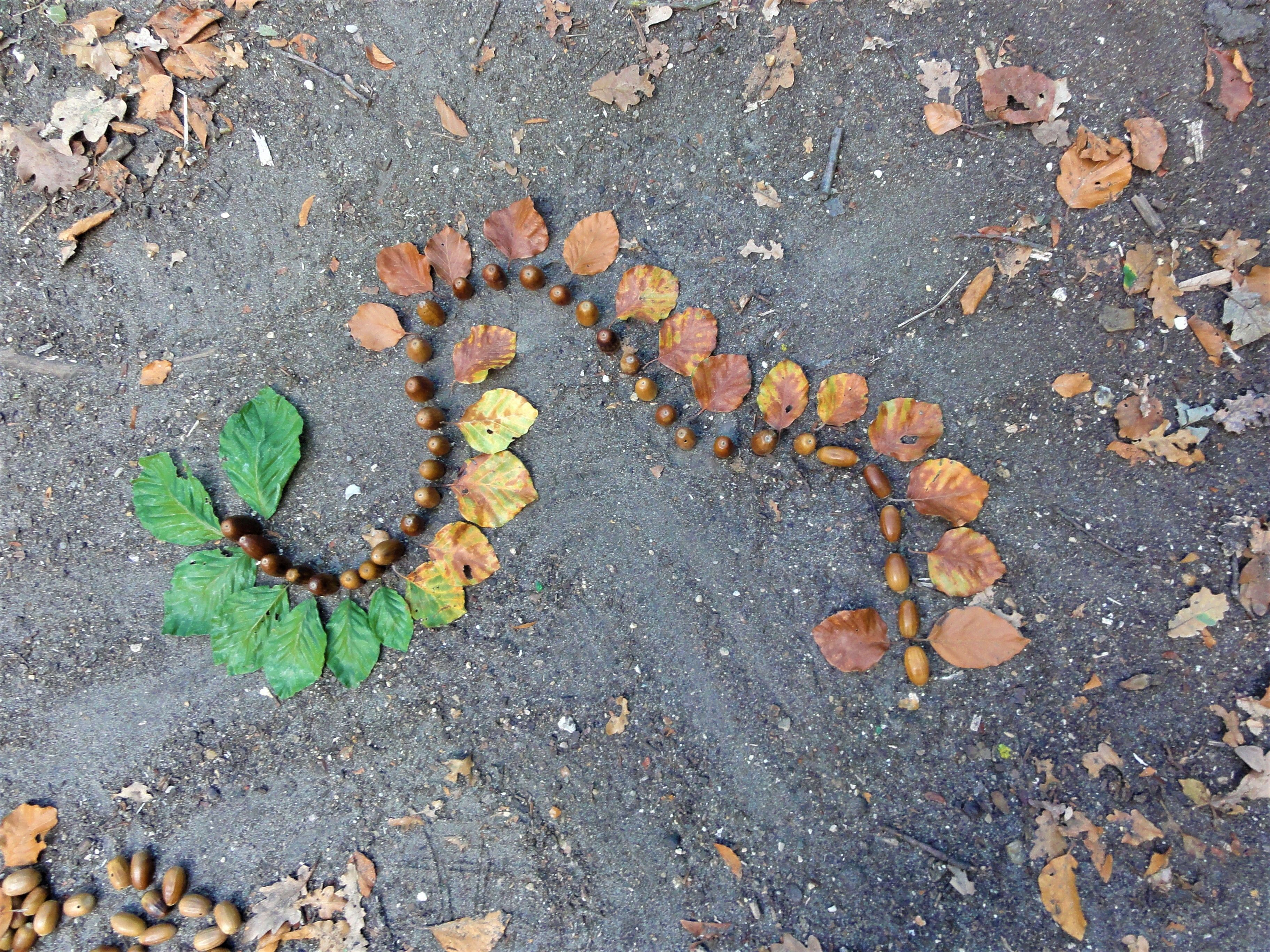 Balade créative en forêt