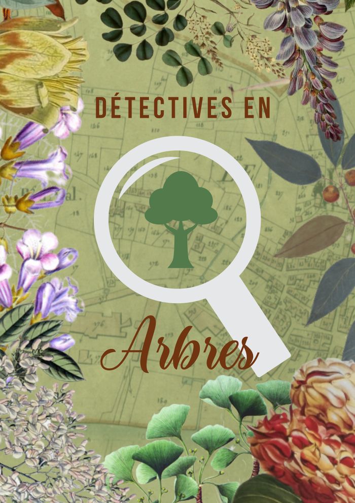 Détectives en arbres