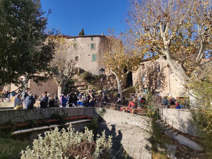 Foire aux arbres et aux vivaces