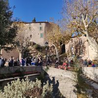 Foire aux arbres et aux vivaces