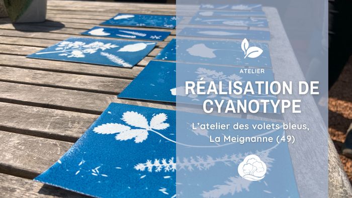 Découvrir le Cyanotype