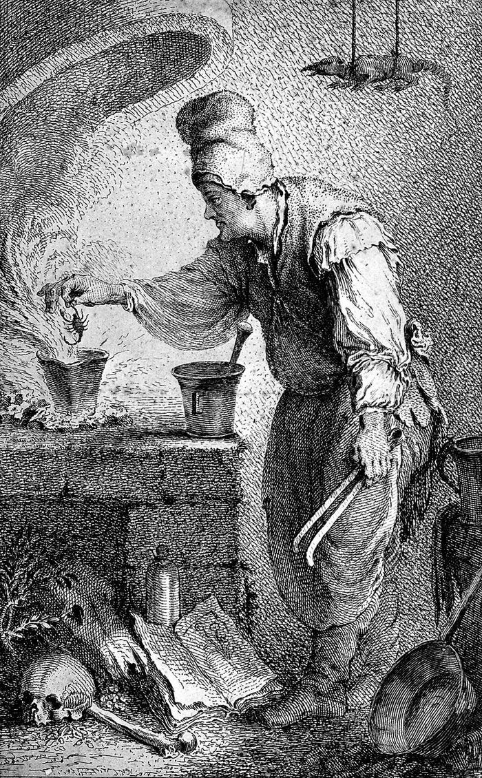 Sortilèges botaniques : Au royaume des plantes mortelles