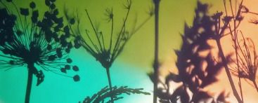 Bulle musicale pour les tout-petits (et les plus grands) : balade en forêt (en partenariat avec le Krakatoa)