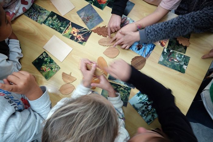 L'arbre et nous