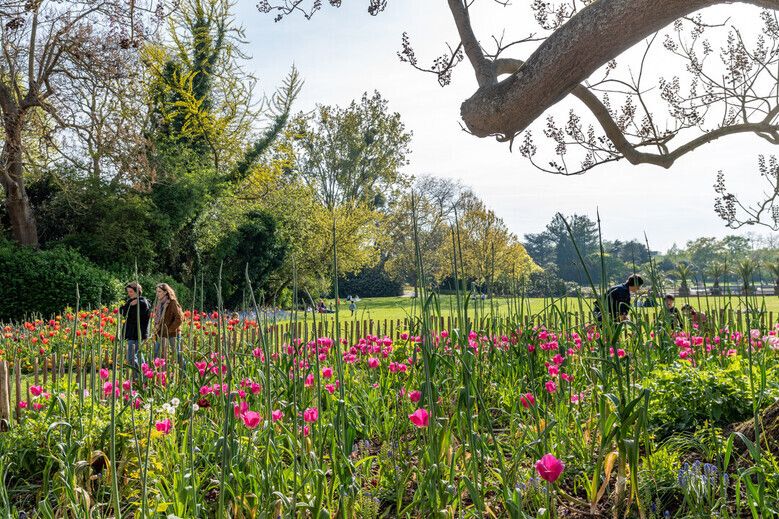 Visite guidée du Jardin des Plantes dans le cadre des Journées du Patrimoine
