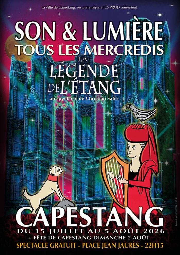 Spectacle son et lumière