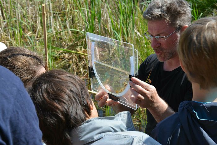 Le jardin dans tous les sens - Biodivers'été