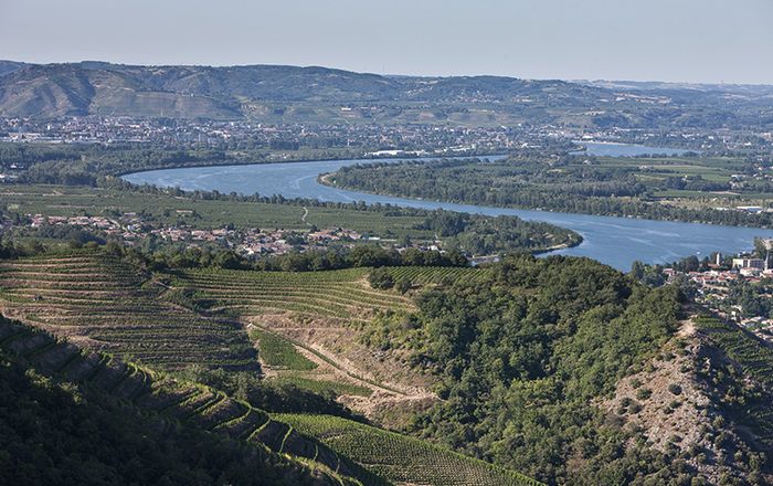 Atelier Vins de la Vallée du Rhône