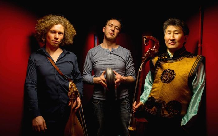 VIOLONS BARBARES