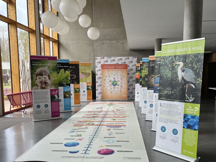 Exposition sur le patrimoine naturel à la Maison du Terroir et d'Animations de Beaulieu-sur-Loire